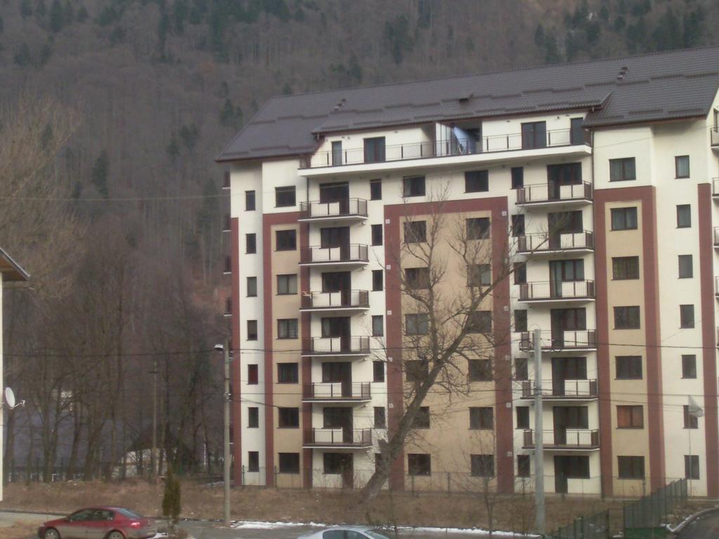 Mountain View Nest Apartamento Sinaia Exterior foto